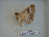  ( - LEP-RCA-0722)  @12 [ ] CreativeCommons - Attribution Non-Commercial Share-Alike (2012) J.LORET ECODIV