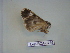  ( - LEP-RCA-0736)  @12 [ ] CreativeCommons - Attribution Non-Commercial Share-Alike (2012) J.LORET ECODIV