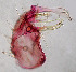  ( - CIEC-Cor-16-19)  @11 [ ] Copyright (2017) CIEC Centro de Investigaciones Entomológicas de Córdoba