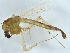  ( - SSAPU-MOS-0185)  @11 [ ] CreativeCommons - Attribution (2022) CBG Photography Group Centre for Biodiversity Genomics