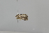  ( - CT00134)  @12 [ ] No Rights Reserved (2018) Patrick Strutzenberger University of Vienna Department of Botany and Biodiversity Research