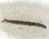  ( - BIM_TS_00180)  @11 [ ] CreativeCommons - Attribution (2010) Unspecified Centre for Biodiversity Genomics