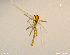  ( - XL676)  @11 [ ] CreativeCommons - Attribution Non-Commercial Share-Alike (2018) Xiaolong Lin College of Life Sciences, Nankai University