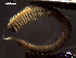  ( - LCVA1-01)  @12 [ ] Unspecified (default): All Rights Reserved  Unspecified Unspecified