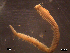  ( - LCVS2-07)  @12 [ ] Unspecified (default): All Rights Reserved  Unspecified Unspecified