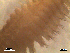  ( - LCVS2-07)  @12 [ ] Unspecified (default): All Rights Reserved  Unspecified Unspecified