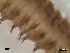  ( - LPAS1-01)  @12 [ ] Unspecified (default): All Rights Reserved  Unspecified Unspecified