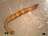  ( - RR106)  @13 [ ] Unspecified (default): All Rights Reserved  Unspecified Unspecified