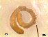  ( - RR124)  @11 [ ] Unspecified (default): All Rights Reserved  Unspecified Unspecified