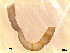  ( - RR133)  @11 [ ] Unspecified (default): All Rights Reserved  Unspecified Unspecified
