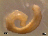  ( - RR136)  @11 [ ] Unspecified (default): All Rights Reserved  Unspecified Unspecified