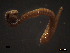  ( - SFP17-004)  @12 [ ] Unspecified (default): All Rights Reserved  Unspecified Unspecified
