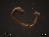  ( - SFP17-005)  @12 [ ] Unspecified (default): All Rights Reserved  Unspecified Unspecified