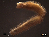  ( - SFP20-001)  @14 [ ] Unspecified (default): All Rights Reserved  Unspecified Unspecified