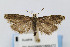  ( - CNCLEP00056395)  @13 [ ] CreativeCommons - Attribution Non-Commercial Share-Alike (2007) Unspecified Canadian National Collection