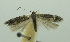  ( - BIDZ-00017)  @11 [ ] Copyright (2012) Aleksei Bidzilya University of Kiev, Ukraine