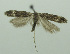  ( - BIDZ-00019)  @11 [ ] Copyright (2012) Aleksei Bidzilya University of Kiev, Ukraine