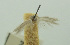  ( - BIDZ-00047)  @11 [ ] Copyright (2012) Aleksei Bidzilya University of Kiev, Ukraine