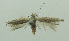  ( - BIDZ-00094)  @11 [ ] Copyright (2012) Aleksei Bidzilya University of Kiev, Ukraine