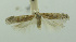  ( - BIDZ-00116)  @11 [ ] Copyright (2012) Aleksei Bidzilya University of Kiev, Ukraine