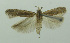 ( - BIDZ-00121)  @11 [ ] Copyright (2012) Aleksei Bidzilya University of Kiev, Ukraine