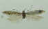  ( - BIDZ-00158)  @11 [ ] Copyright (2012) Aleksei Bidzilya University of Kiev, Ukraine