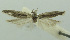  ( - BIDZ-00159)  @11 [ ] Copyright (2012) Aleksei Bidzilya University of Kiev, Ukraine