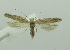  ( - BIDZ-00184)  @11 [ ] Copyright (2012) Aleksei Bidzilya University of Kiev, Ukraine