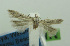  ( - MFN-00054)  @11 [ ] Copyright (2012) Aleksei Bidzilya University of Kiev, Ukraine