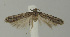  ( - MFN-00091)  @11 [ ] Copyright (2012) Aleksei Bidzilya University of Kiev, Ukraine