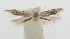  ( - ZIN-00007)  @11 [ ] Copyright (2012) Aleksei Bidzilya University of Kiev, Ukraine