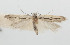  ( - ZMKU-00051)  @11 [ ] Copyright (2012) Aleksei Bidzilya University of Kiev, Ukraine