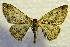  ( - MPG0527-08)  @13 [ ] CreativeCommons - Attribution Non-Commercial Share-Alike (2017) Mat Seidensticker MPG Ranch