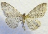  ( - MPG0527-58)  @13 [ ] CreativeCommons - Attribution Non-Commercial Share-Alike (2017) Mat Seidensticker MPG Ranch