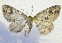  ( - MPG0527-59)  @13 [ ] CreativeCommons - Attribution Non-Commercial Share-Alike (2017) Mat Seidensticker MPG Ranch