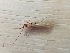  ( - BARN0901-27)  @11 [ ] CreativeCommons - Attribution Non-Commercial Share-Alike (2018) Unspecified MPG Ranch