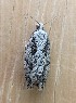  ( - CATL0906-01)  @11 [ ] CreativeCommons - Attribution Non-Commercial Share-Alike (2018) Unspecified MPG Ranch