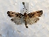  ( - DMZ0619-58)  @12 [ ] CreativeCommons - Attribution Non-Commercial Share-Alike (2017) Mat Seidensticker MPG Ranch