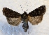  ( - DMZ0724-52)  @14 [ ] CreativeCommons - Attribution Non-Commercial Share-Alike (2017) Mat Seidensticker MPG Ranch