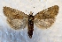  ( - DMZ0724-62)  @14 [ ] CreativeCommons - Attribution Non-Commercial Share-Alike (2017) Mat Seidensticker MPG Ranch