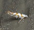  ( - KD082119-02)  @11 [ ] Creative Commons - Non-Commercial Share-Alike (2019) Unspecified MPG Ranch