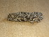  ( - LOLO041820-01)  @12 [ ] Creative Commons - Non-Commercial Share-Alike (2020) Unspecified MPG Ranch