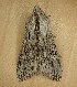  ( - LOLO042520-01)  @11 [ ] Creative Commons - Non-Commercial Share-Alike (2020) Unspecified MPG Ranch