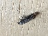  ( - MPG0515-22)  @12 [ ] CreativeCommons - Attribution Non-Commercial Share-Alike (2018) Unspecified MPG Ranch