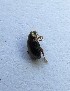  ( - MPG0709-47)  @11 [ ] CreativeCommons - Attribution Non-Commercial Share-Alike (2018) Unspecified MPG Ranch