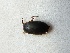  ( - MPG0709-75)  @11 [ ] CreativeCommons - Attribution Non-Commercial Share-Alike (2018) Unspecified MPG Ranch
