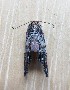  ( - MPG0716-01)  @12 [ ] CreativeCommons - Attribution Non-Commercial Share-Alike (2018) Unspecified MPG Ranch