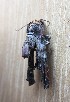  ( - MPG0716-01)  @12 [ ] CreativeCommons - Attribution Non-Commercial Share-Alike (2018) Unspecified MPG Ranch
