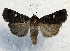  ( - MPG0719-27)  @13 [ ] CreativeCommons - Attribution Non-Commercial Share-Alike (2017) Mat Seidensticker MPG Ranch