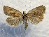 ( - MPG0726-04)  @14 [ ] CreativeCommons - Attribution Non-Commercial Share-Alike (2017) Mat Seidensticker MPG Ranch